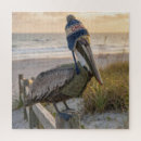 Suche nach pelikan puzzle Wildtiere