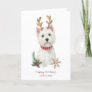 Suche nach westie karten West highland terrier