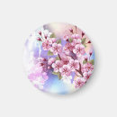 Suche nach sakura magnete Kirschblüte