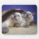 Suche nach stillstehen mousepads Quadrat