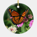 Suche nach schöne schmetterlinge ornamente Monarch