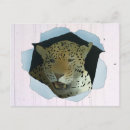 Suche nach brüllen postkarten Leopard