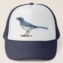Suche nach jay kappen Vogel