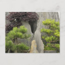 Suche nach bonsai postkarten China