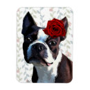 Suche nach terrier magnete Tiere