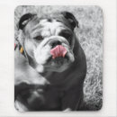 Suche nach bulldogge mousepads Computer
