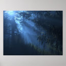 Suche nach rochen poster Wald