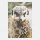 Suche nach meerkat geschirr tücher Tier