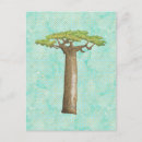 Suche nach baobab baum postkarten Natur