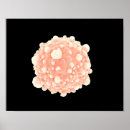 Suche nach mikroskopische poster Virus