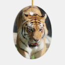 Suche nach wildkatzen ornamente Tiger