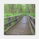 Suche nach farne magnete Regenwald