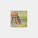 Suche nach pferd post it Natur
