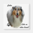Suche nach rasse magnete Collie