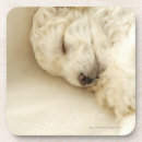 Suche nach gebäude untersetzer Zuhause