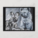 Suche nach hyena postkarten Afrikanisch