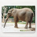 Suche nach afrikanischer elefant mousepads Tiere