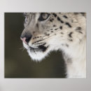 Suche nach seitenansicht poster Konzentration