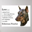 Suche nach doberman poster Hund