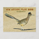 Suche nach kuckuck postkarten Vogel