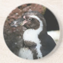 Suche nach humboldt untersetzer Pinguin