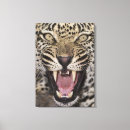 Suche nach leoparden leinwandbilder Vertikal