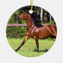 Suche nach arabisches pferd ornamente Reiter