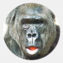 Suche nach lustiger gorilla aufkleber Gorillas