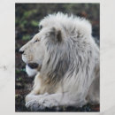 Suche nach tiere flyer Afrika