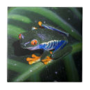 Suche nach feiertage fliesen Fotografie