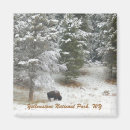 Suche nach yellowstone national park magnete Wild