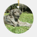 Suche nach doggen alle ornamente Great dane