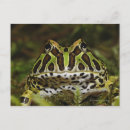 Suche nach ausrichtung postkarten Natur