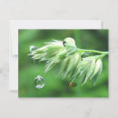 Suche nach playful postkarten Natur