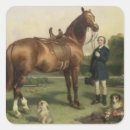 Suche nach 73 aufkleber Pferde