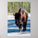 Suche nach fahrbahn poster Straße