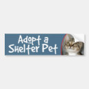 Suche nach graue katze autoaufkleber Haustier