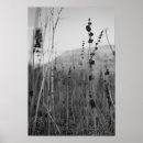 Suche nach einsamkeit poster Natur