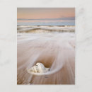 Suche nach costa postkarten Strand