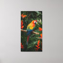 Suche nach grüner papagei leinwandbilder Vogelvogel