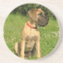 Suche nach englische bulldogge untersetzer Welpe