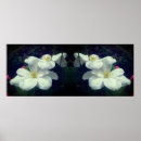 Suche nach clematis blume poster Weinrebe