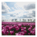 Suche nach sonniger himmel poster Jede person