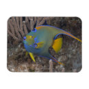 Suche nach individualität magnete In voller länge