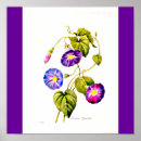 Suche nach vintage lavender poster Lila