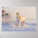 Suche nach pferde und schnee poster Winter