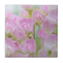 Suche nach duft fliesen Blume