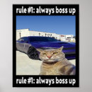 Suche nach lustige meme poster Katzenliebhaber