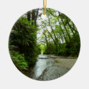 Suche nach farns ornamente Für alle