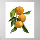 Suche nach mandarine poster Orange